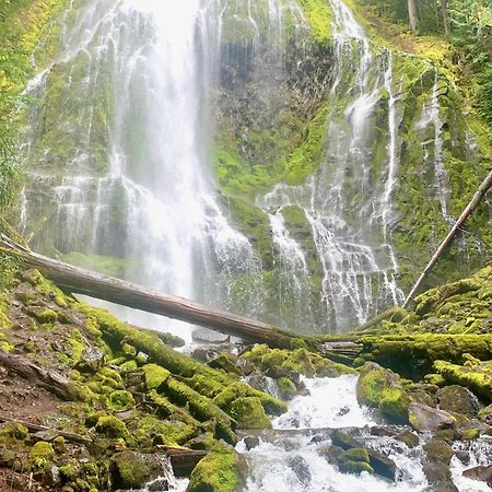 Mckenzie River Mountain Resort Blue River Экстерьер фото