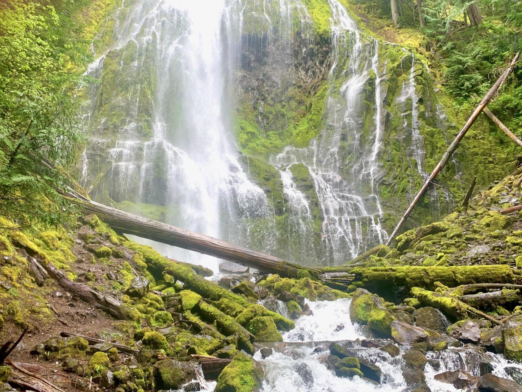 Mckenzie River Mountain Resort Blue River Экстерьер фото